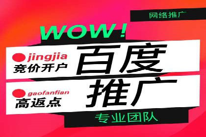 案例解析：竞价广告效果评估与优化
