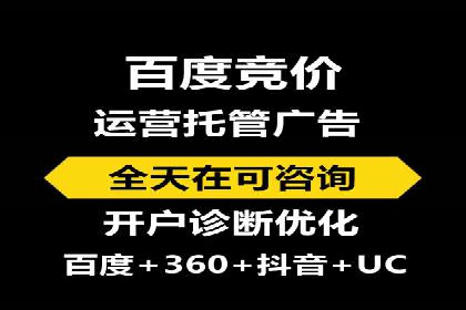 SEM运营公司成功案例解析